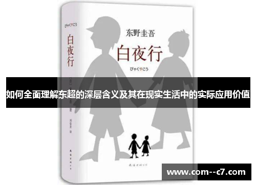 如何全面理解东超的深层含义及其在现实生活中的实际应用价值
