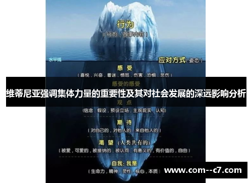 维蒂尼亚强调集体力量的重要性及其对社会发展的深远影响分析