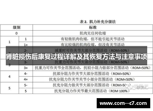 肾脏损伤后康复过程详解及其恢复方法与注意事项