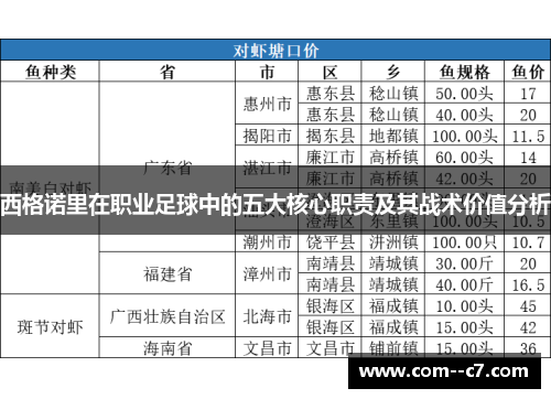 西格诺里在职业足球中的五大核心职责及其战术价值分析