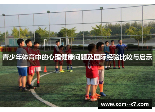 青少年体育中的心理健康问题及国际经验比较与启示