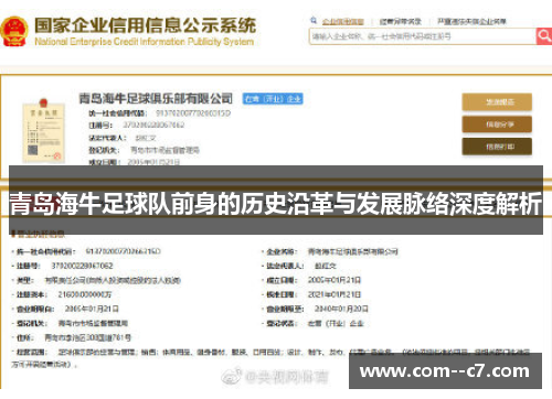 青岛海牛足球队前身的历史沿革与发展脉络深度解析