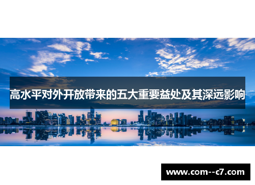 高水平对外开放带来的五大重要益处及其深远影响