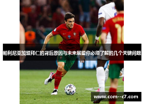 帕利尼亚加盟拜仁的背后原因与未来展望你必须了解的几个关键问题