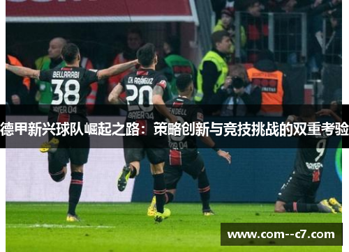 德甲新兴球队崛起之路：策略创新与竞技挑战的双重考验