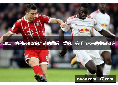拜仁与帕利尼亚双向奔赴的背后：契约、信任与未来的共同期许
