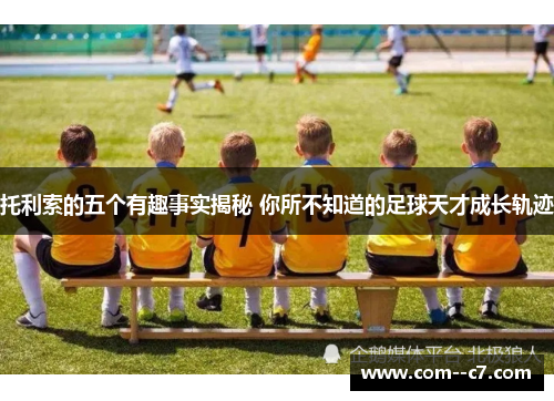 托利索的五个有趣事实揭秘 你所不知道的足球天才成长轨迹