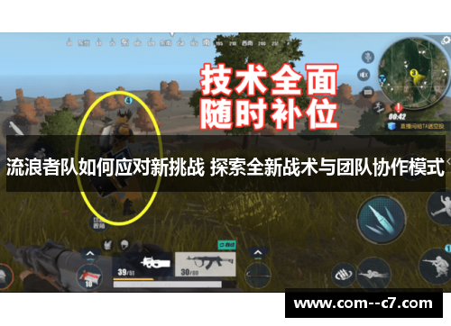 流浪者队如何应对新挑战 探索全新战术与团队协作模式